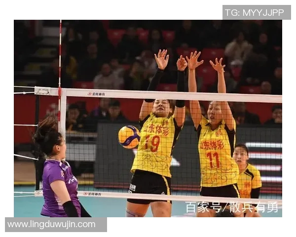 广州排球队技术对比深度解析与发展趋势探讨