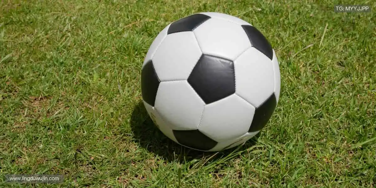 每一次挥汗如雨,都是为了更闪耀的登场!✨